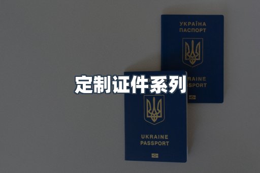 定制证件系列